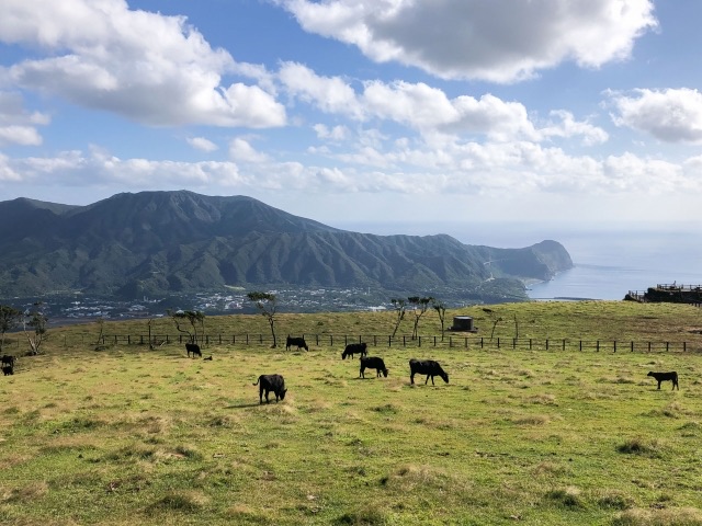 Hachijojima